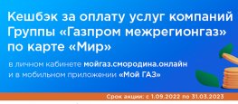Абоненты ООО «Газпром межрегионгаз Грозный» могут получить кешбэк за оплату газа по карте «Мир»